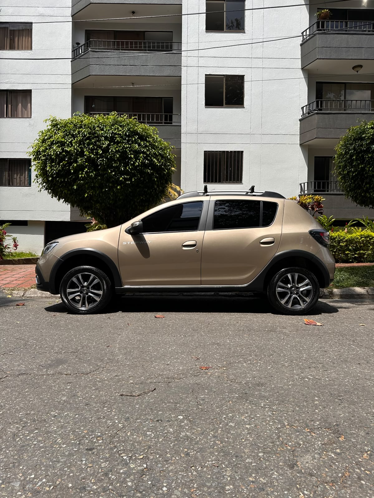Renault Stepway — foto 6 de 12