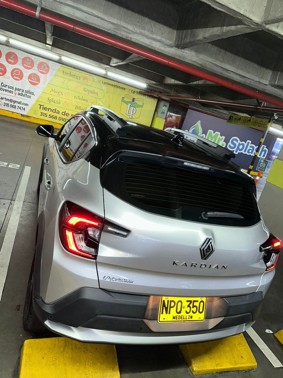 Renault Kardian — foto 3 de 12