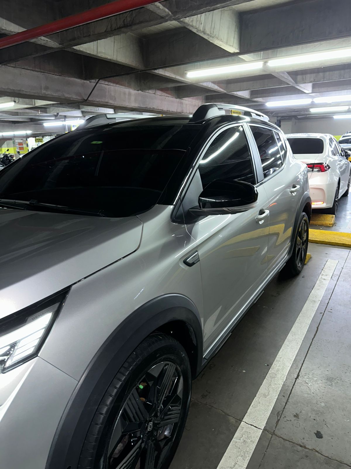 Renault Kardian — foto 6 de 12